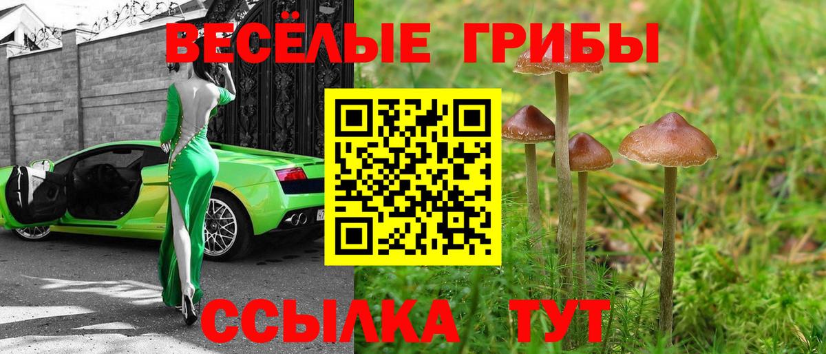 Псилоцибиновые грибы Cubensis  Вход с VPN  Трёхгорный 