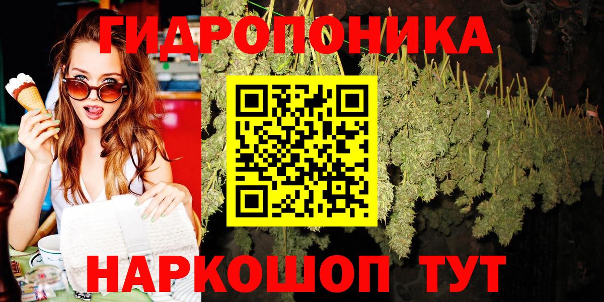 Конопля планчик Трёхгорный